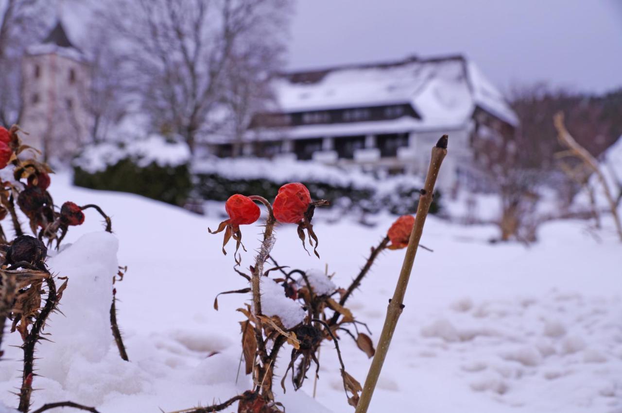 Hotel Kreuz Hoehengasthof Breitnau Buitenkant foto